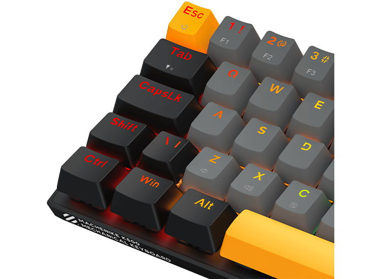 Z590